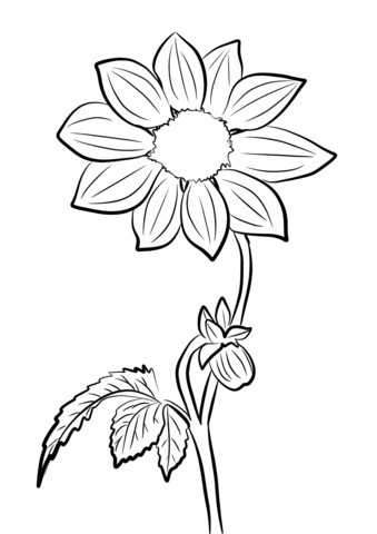 Georgina Or Dahlia Coloring Page